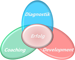 Diagnostik / Erfolg / Coaching / Development
